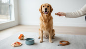 Unique Gifts for Dog Lovers: The 2026 Guide to Elevated Gifting