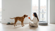 The Ethical Choice: 5 Pet Supply Myths Debunked for the Modern Owner