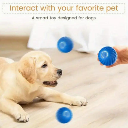 Blue And Orange Pet Bouncing Ball Fun Pet Bouncing Ball For Cats And