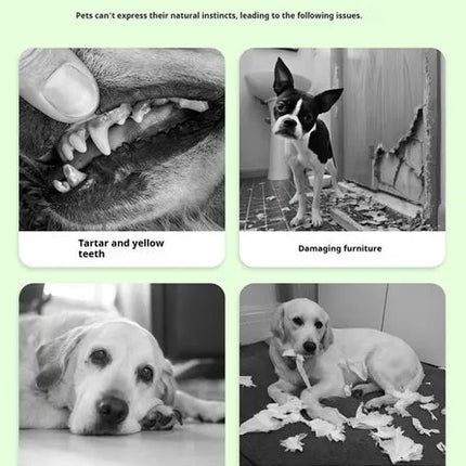 DOG Chew Toys For Teeth Cleaning,Pet Sausage Chew Brush,Pet Chew &