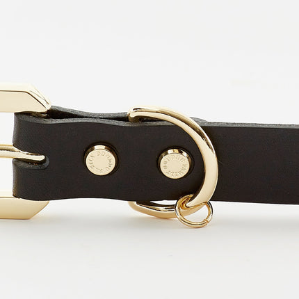 Golden Spike Black Collar