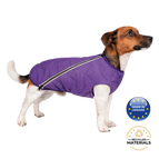 M / Purple