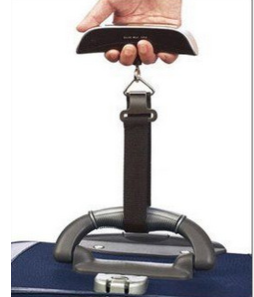 High Quality 50kg/10g Portable Electronic Scale