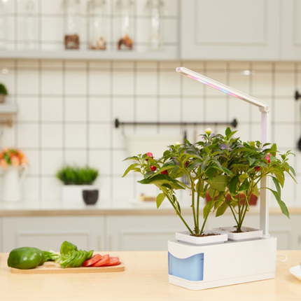 Multifunctional Intelligent Plant Growth Light