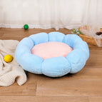 40cm / Blue