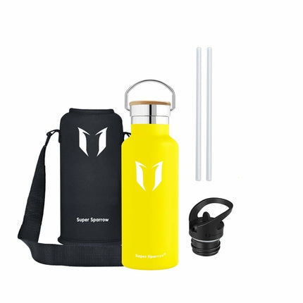 Insulated Stainless Steel Water Bottle, 17OZ / 500ML