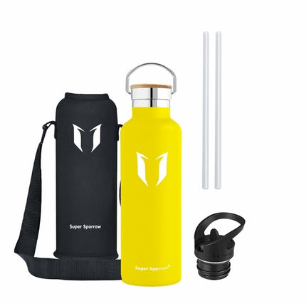 Insulated Stainless Steel Water Bottle, 25OZ / 750ML