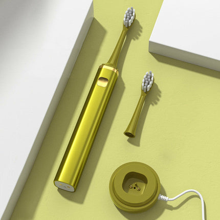 Rechargeable Waterproof Sonic Electric Toothbrush