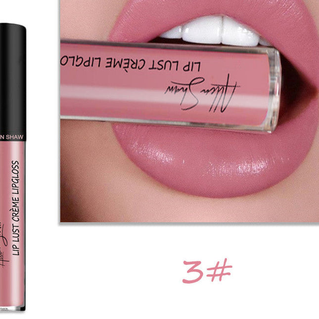 Silky Cream Texture Lip Gloss Aliexpress Shopee Cross-Border Exclusive