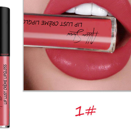 Silky Cream Texture Lip Gloss Aliexpress Shopee Cross-Border Exclusive