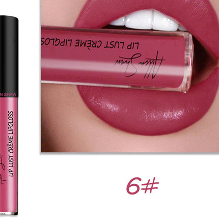 Silky Cream Texture Lip Gloss Aliexpress Shopee Cross-Border Exclusive
