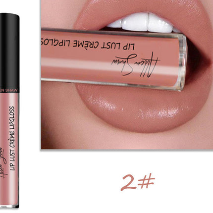 Silky Cream Texture Lip Gloss Aliexpress Shopee Cross-Border Exclusive