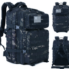 Navy CP