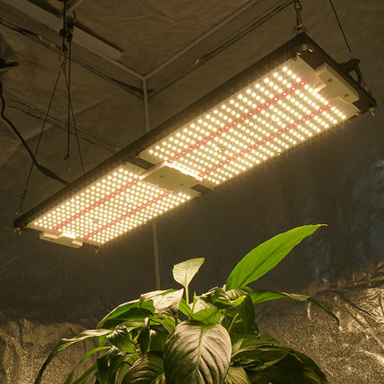 MasonBrite StealthGrow 240W Full Spectrum IP65 Waterproof 4X2 Samsung