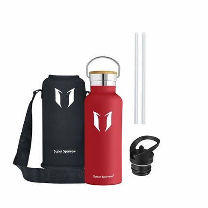 Insulated Stainless Steel Water Bottle, 17OZ / 500ML