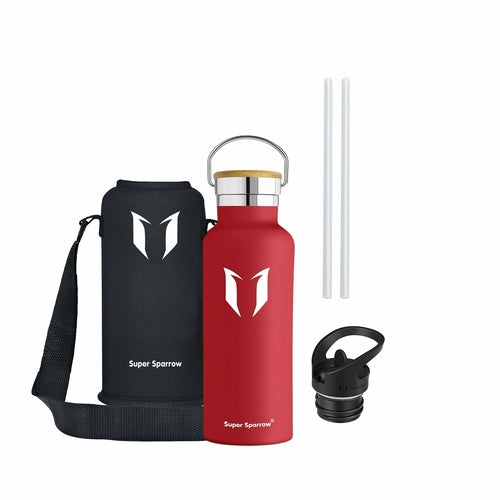 Insulated Stainless Steel Water Bottle, 17OZ / 500ML