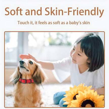 Pet Silicone Collar And Leash Set Comes With A Suitable For Small And