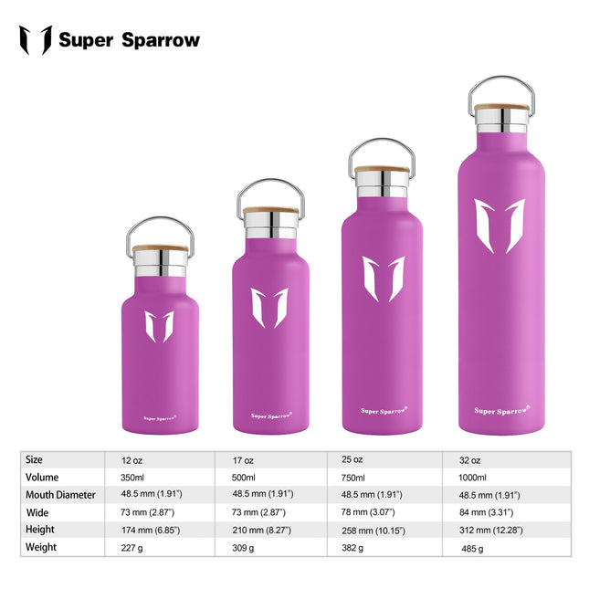 Insulated Stainless Steel Water Bottle, 17OZ / 500ML