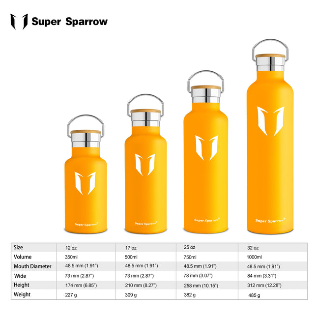 Insulated Stainless Steel Water Bottle, 25OZ / 750ML
