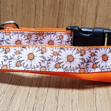 Leash/ Large/  White and Orange Daisies