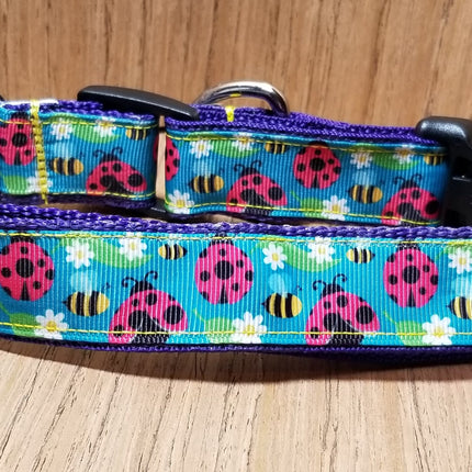 Leash/ Large/ Lady Bugs