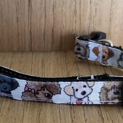 Leash/ Small/ White Dogs