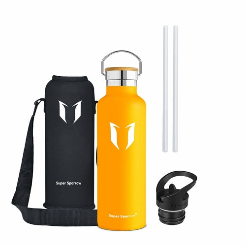 Insulated Stainless Steel Water Bottle, 25OZ / 750ML