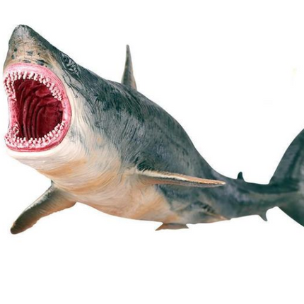 High Quality Megalodon Prehistoric Shark Model Figure Toy
