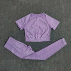 L(63-75KG) / Purple 3