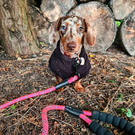 Dog Rope Lead With Reflective Stitching and Padded Handle