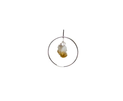 Beak Pendants