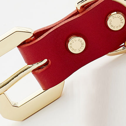 Golden Spike Red Collar