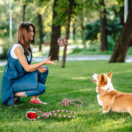 Set Of 5Pcs Christmas Dog Rope Chew Toys Dog Interactive Toys Set For