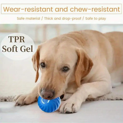 Blue And Orange Pet Bouncing Ball Fun Pet Bouncing Ball For Cats And