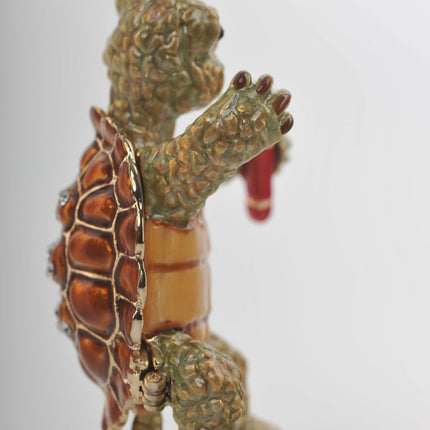 Turtle Singing with a Microphone