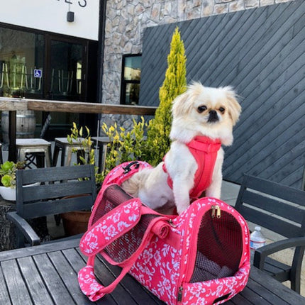 312 Hideaway™ Duffel - Pet Carrier