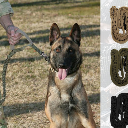 Pet Dog Leash With Highly Reflective Threads