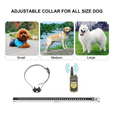 1Pc Dog Training Collar With Remote  IP67 Waterproof Pet Trainer