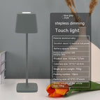 Gray / Infinite Touch Dimming