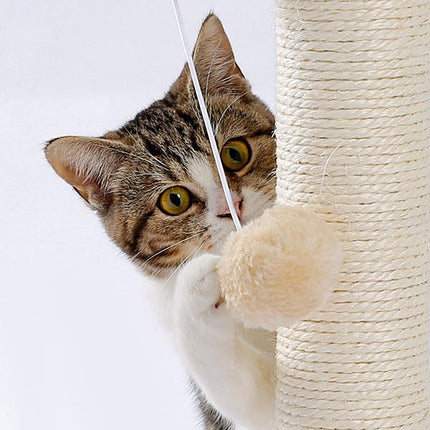 Indoor Cat Soft Scratching Board And Interactive Ball Track Toy Cat