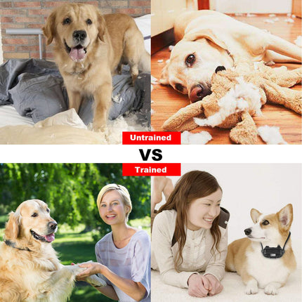 1Pc Dog Training Collar With Remote  IP67 Waterproof Pet Trainer