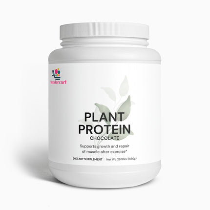 Plant Protein Chocolate 21g Protein, Muscle Recovery, Weight