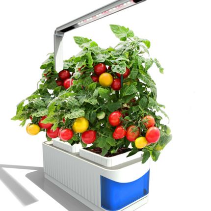 Multifunctional Intelligent Plant Growth Light