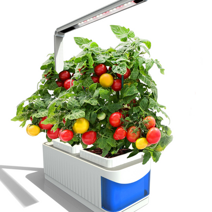 Multifunctional Intelligent Plant Growth Light