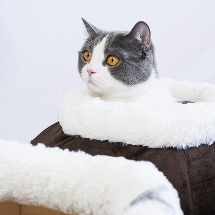 Cat Beds for Indoor Cats   Cat Cave Bed Plush Round Soft Pet Tent with