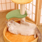 One Size / Orange Climbing Frame