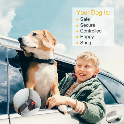 2Pcs Pet Dog Seat Belt Leash Adjustable Pet Dog Cat Safety Leads