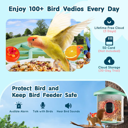 Smart Bird Feeder With Camera AI Identify 10000+ Bird Specie