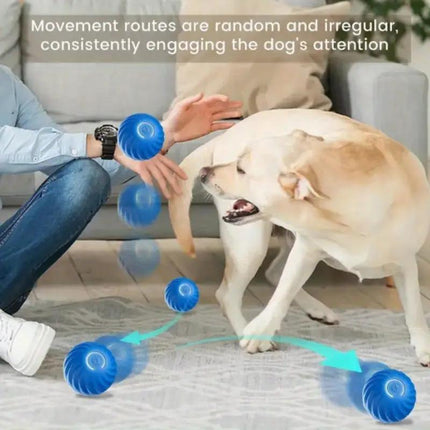Blue And Orange Pet Bouncing Ball Fun Pet Bouncing Ball For Cats And