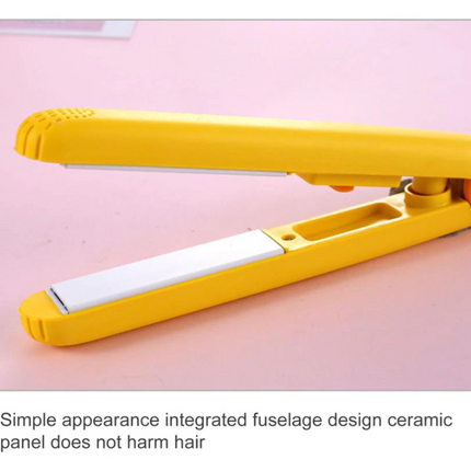 Mini Portable Hair Iron Hair Straightener Curler Professional Hair